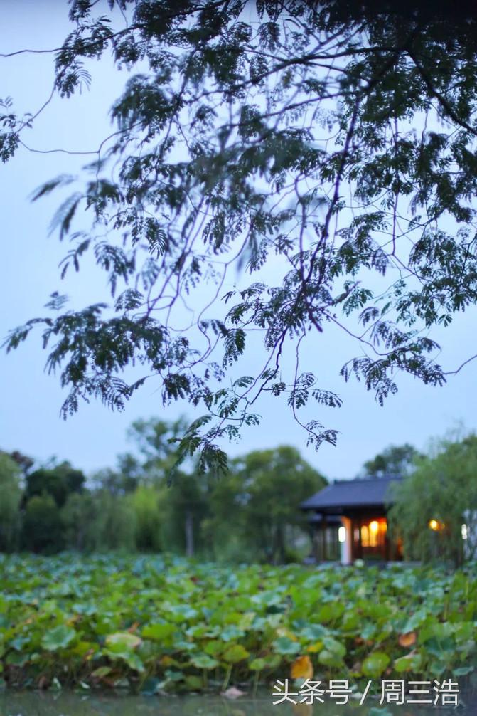 沙家浜夜游旅游攻略大全,沙家浜春节一日游攻略