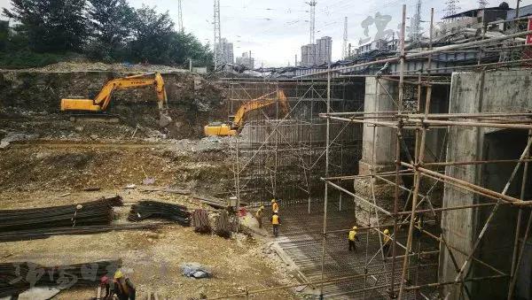 绵阳金柱园啥时间拆了,绵阳市涪城区金柱园