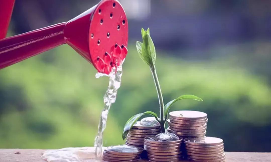 农业投资创业项目有哪些,农业创业项目经营模式