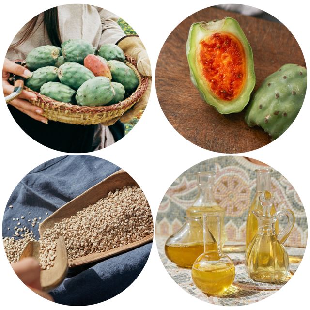 仙人掌补水面膜精华版,好物补水面膜