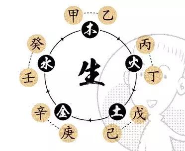 天干地支的由来倪海厦,天干地支的由来曾仕强