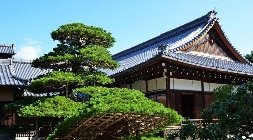 2022日本东京语言学校排名一览表,日本升学率高的语言学校