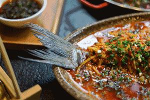 去这家店吃饭还要带西瓜霜？！成都这个“网绿”店暗藏玄机~