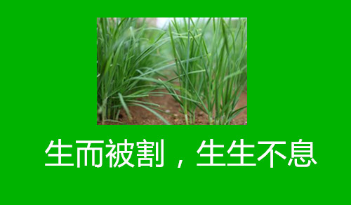 怪了!增发至1000亿的火牛视频说自己不是资金盘,你信吗?