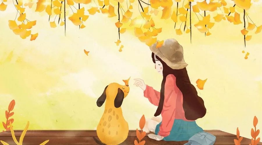 孩子被狗咬了家里的狗怎么处理,孩子不慎被狗咬伤