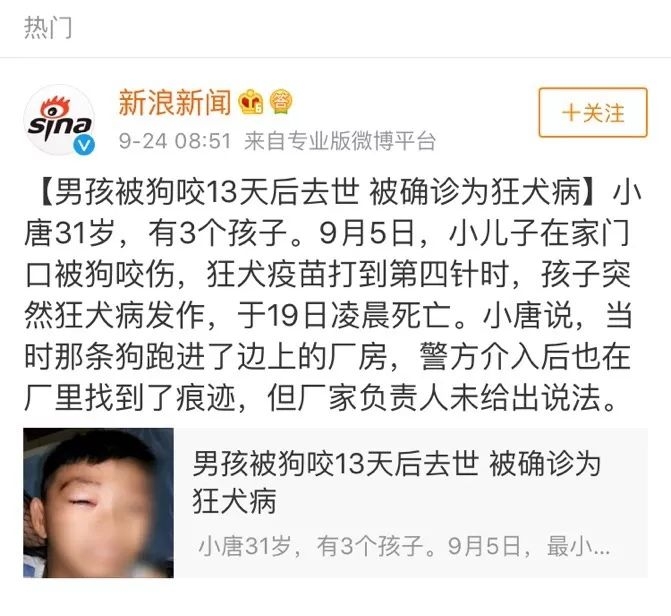 孩子被狗咬了家里的狗怎么处理,孩子不慎被狗咬伤