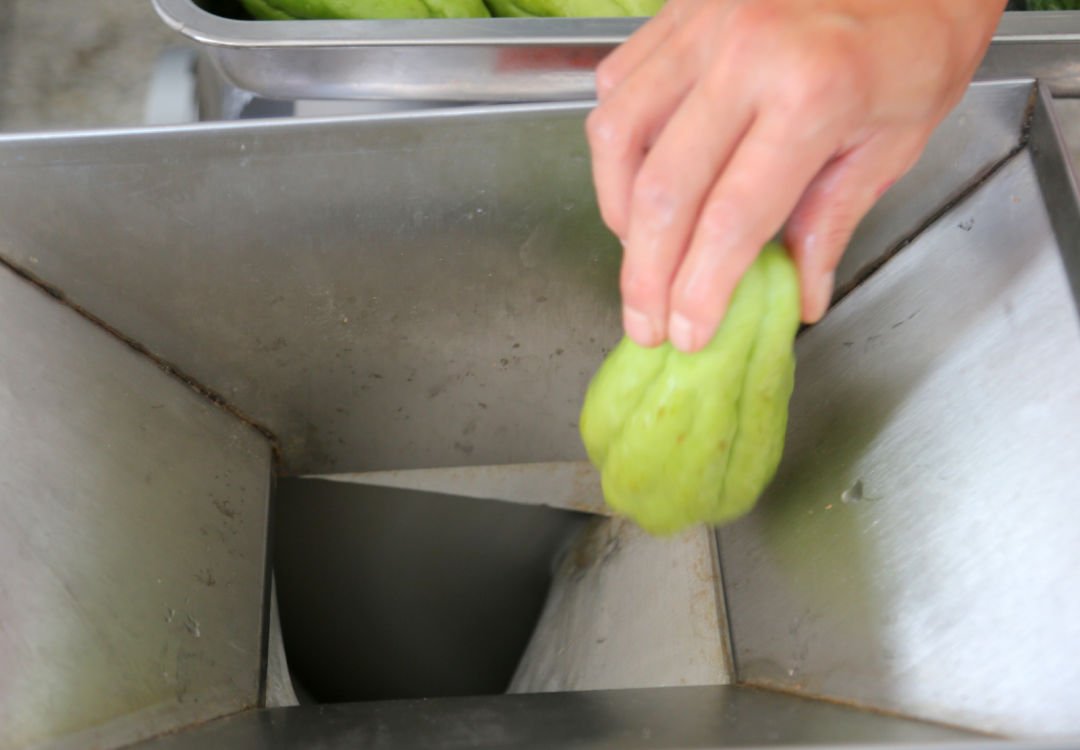 鍖栧姛澶ф硶蹇冩硶鍙ｈ瘈,鍖栨帉涓哄垁