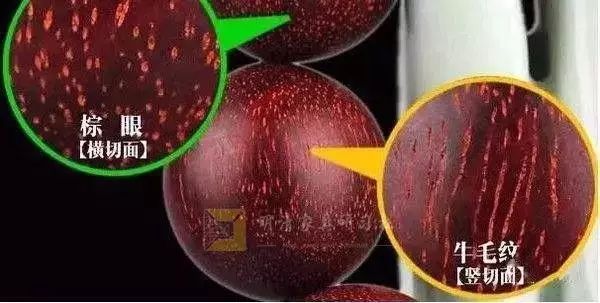 金星和牛毛纹图片,牛毛纹和棕眼图解