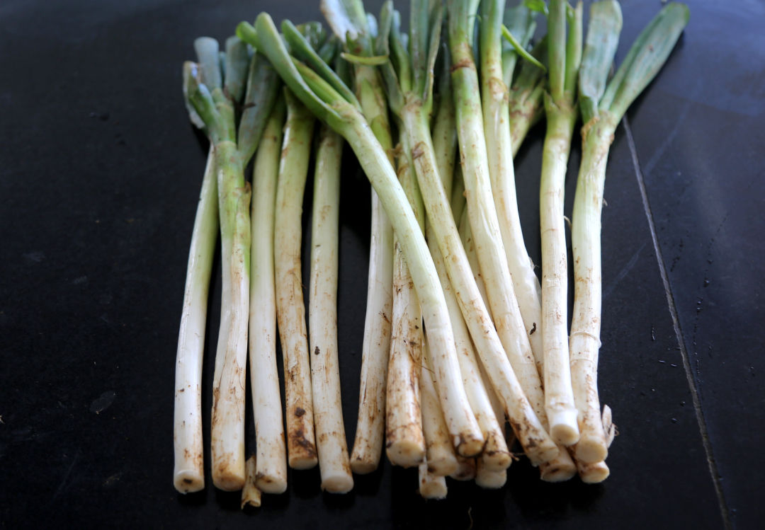 鍖栧姛澶ф硶蹇冩硶鍙ｈ瘈,鍖栨帉涓哄垁