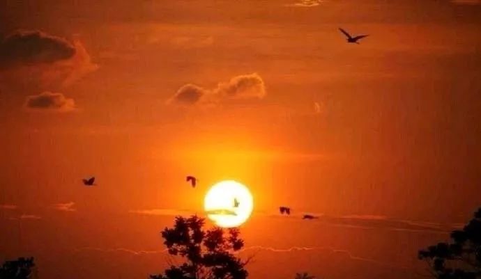 南昌所有旅游景点,南昌49个景点免费