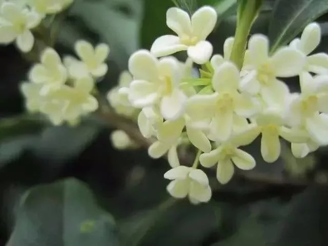 南昌所有旅游景点,南昌49个景点免费