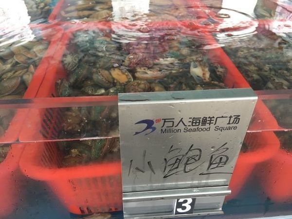 海口特色美食游玩攻略,玩转海口经典美景加美食攻略