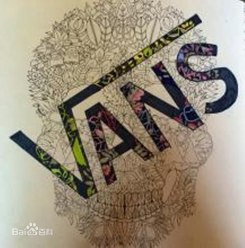 vans十大经典款鞋,vans范斯有孔的鞋