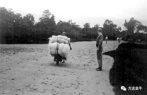 城忆粤语,城忆女声粤语