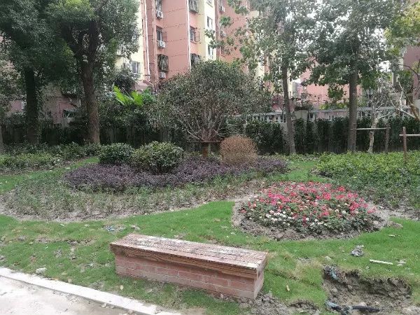 “闵行的好，华漕的美，我三天三夜也说不完！”为什么居民写信这样说……