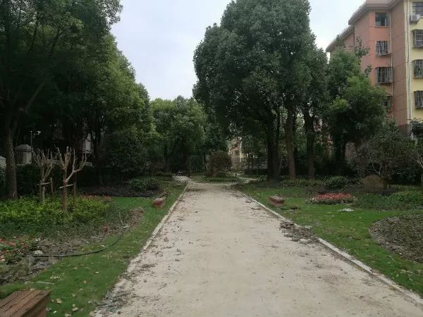 “闵行的好，华漕的美，我三天三夜也说不完！”为什么居民写信这样说……