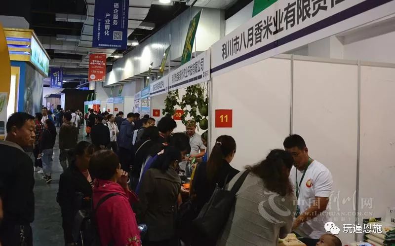 2016年利川硒博会,硒博会开幕