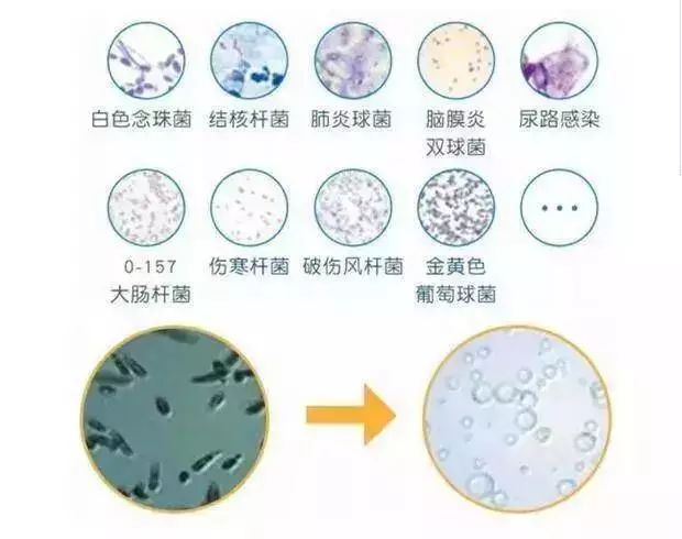 为什么美国电影里经常出现自助洗衣店？