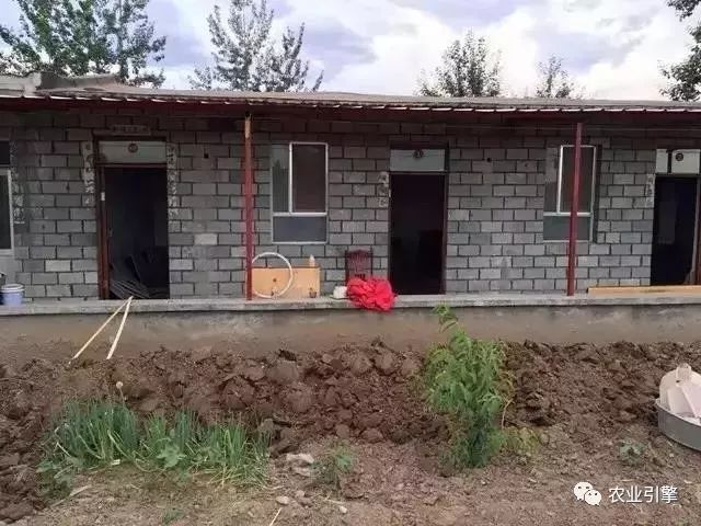 冷清的农家院被设计师折腾坏了成了京城第一精致生态农场