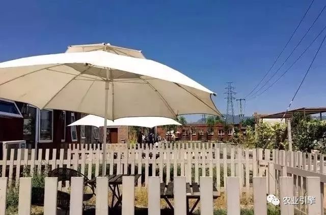 冷清的农家院被设计师折腾坏了成了京城第一精致生态农场