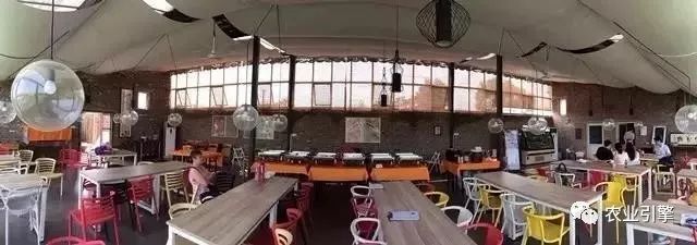 冷清的农家院被设计师折腾坏了成了京城第一精致生态农场