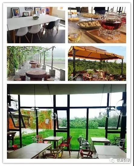 冷清的农家院被设计师折腾坏了成了京城第一精致生态农场