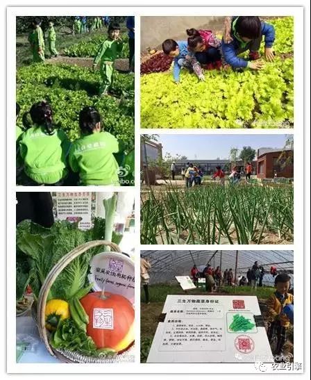 冷清的农家院被设计师折腾坏了成了京城第一精致生态农场