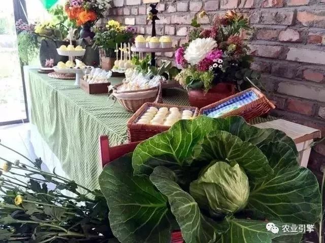 冷清的农家院被设计师折腾坏了成了京城第一精致生态农场