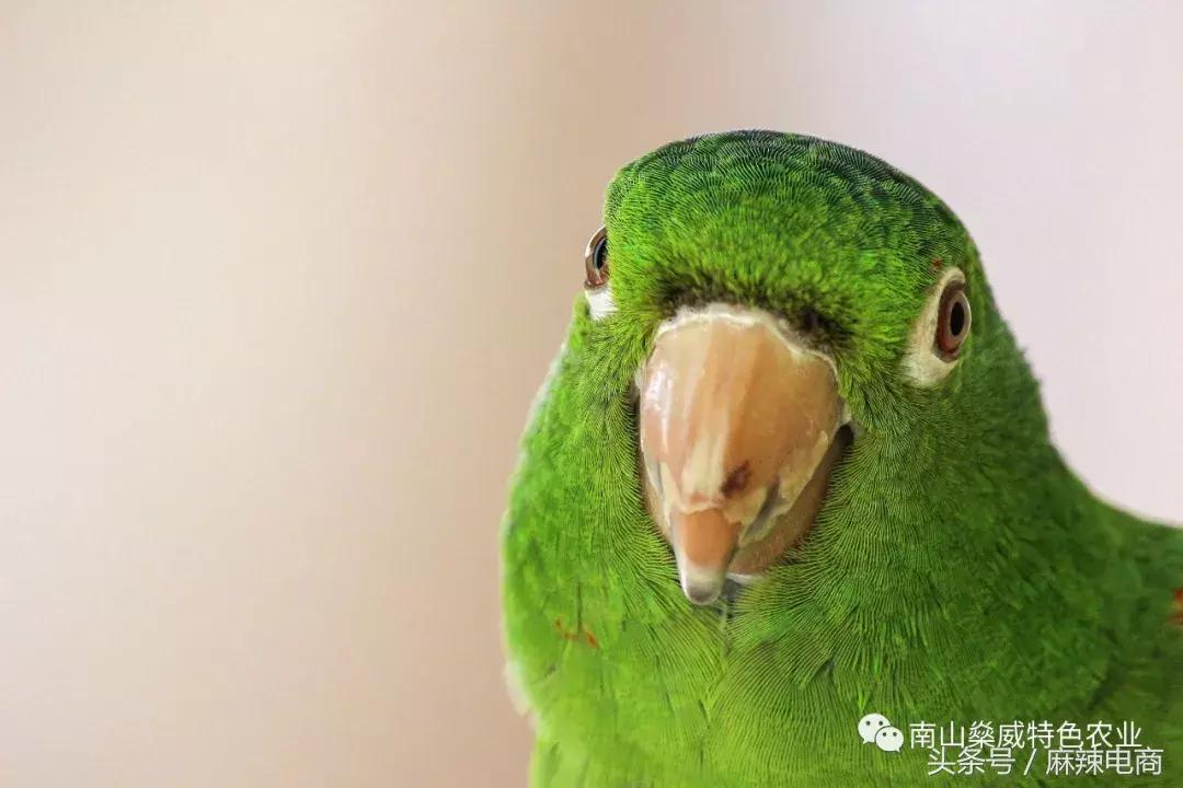 那些窥视你朋友圈的人,那些窥探别人隐私的人是什么心理