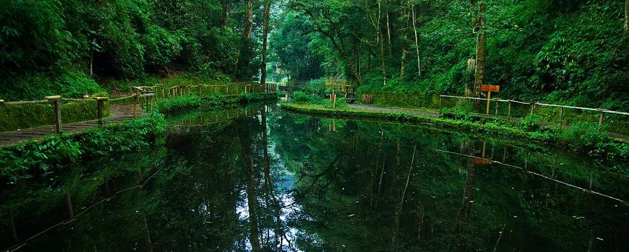 福州永泰天然氧吧,永泰云顶天然氧吧