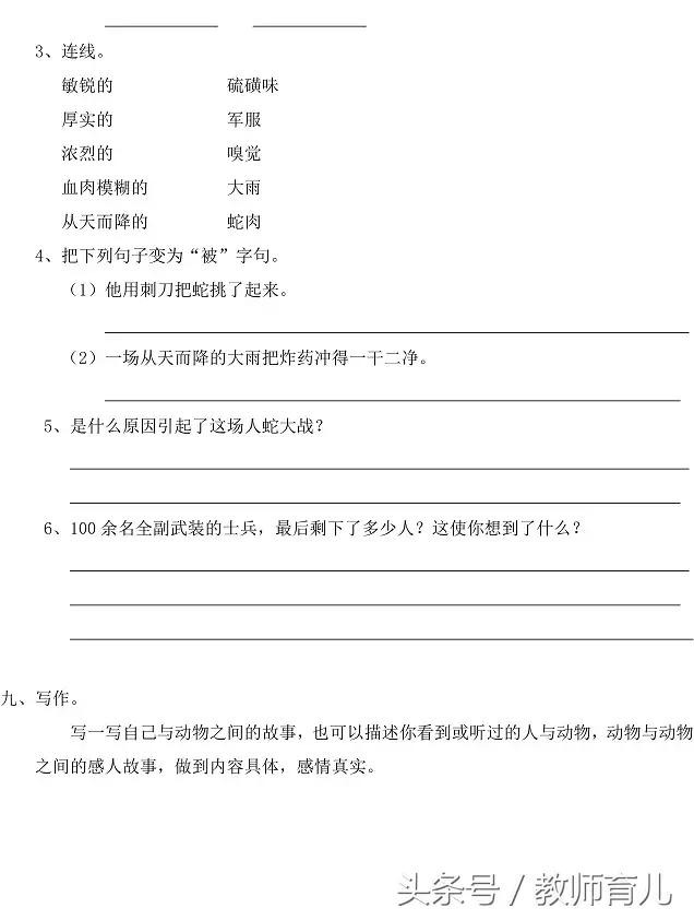 六年级语文期末冲刺天天练,六年级语文期中考试卷提高卷