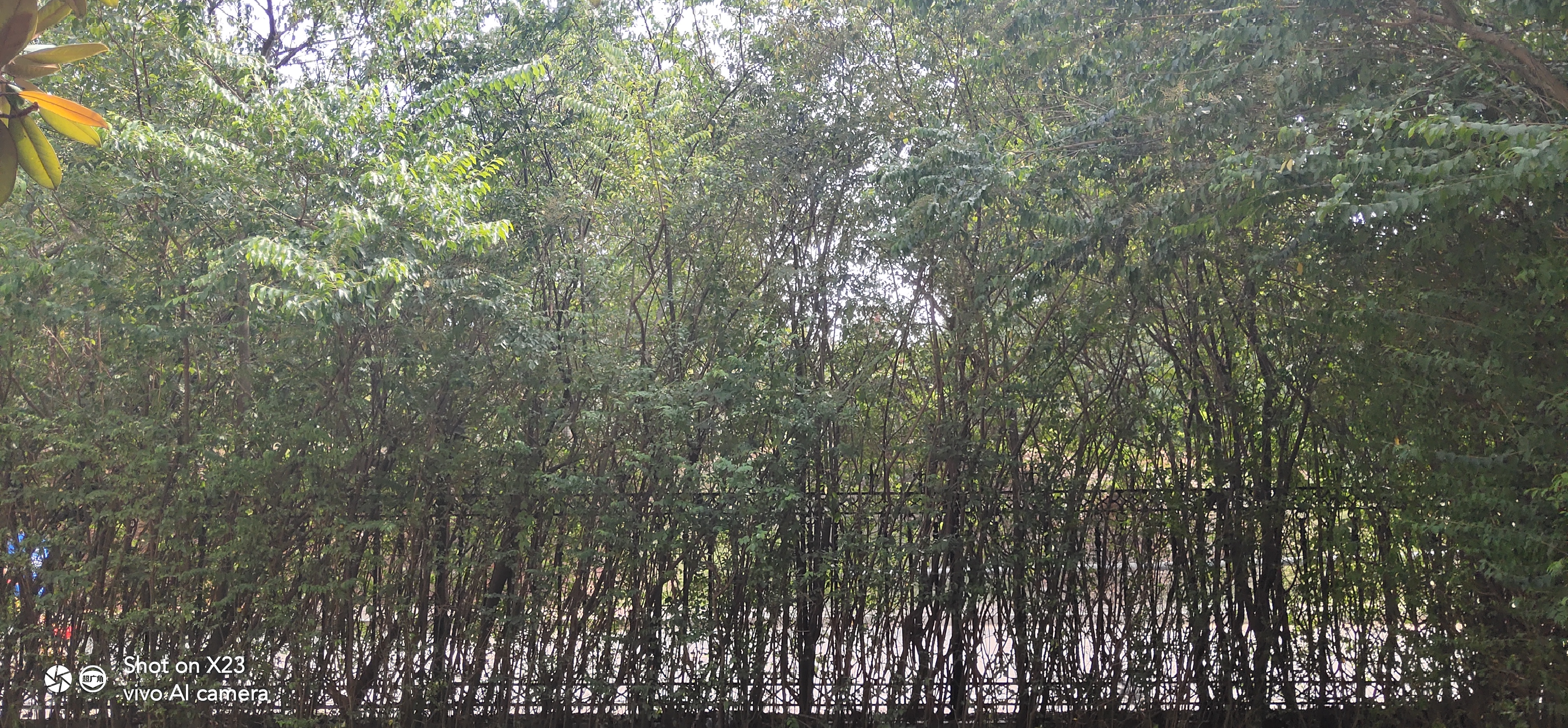 潮流旗舰vivox23诠释科技至美,内外兼修vivox23评测