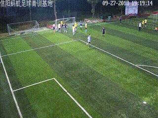 信阳蚂蚁足球俱乐部假日足球赛,信阳大黄蜂足球队