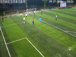 信阳蚂蚁足球俱乐部假日足球赛,信阳大黄蜂足球队