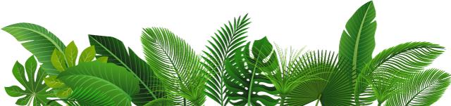 飞跃集团董事长邱继宝,飞跃集团邱继宝讲话视频