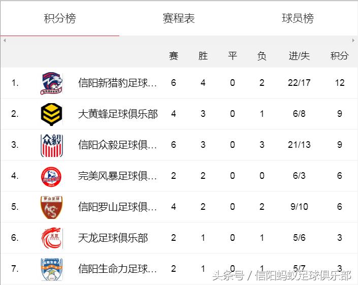 信阳蚂蚁足球俱乐部假日足球赛,信阳大黄蜂足球队