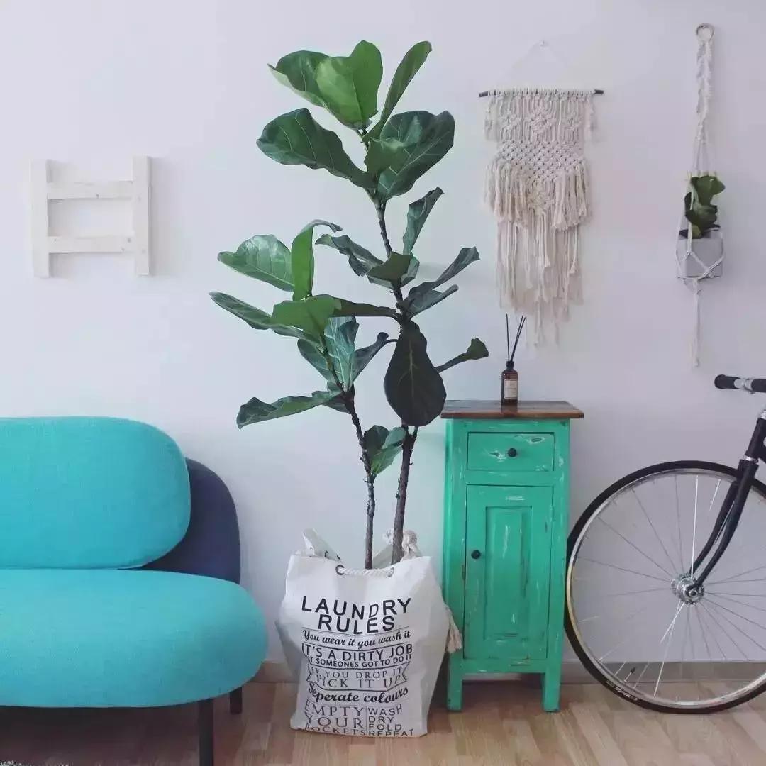 厦门拍网红的地方,厦门最新网红拍照打卡地