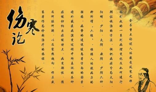 中医伤寒论讲什么,中医经典伤寒论解读视频