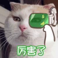 新雨自然学校·第一期Day1:快来建造属于自己的生态花园吧!