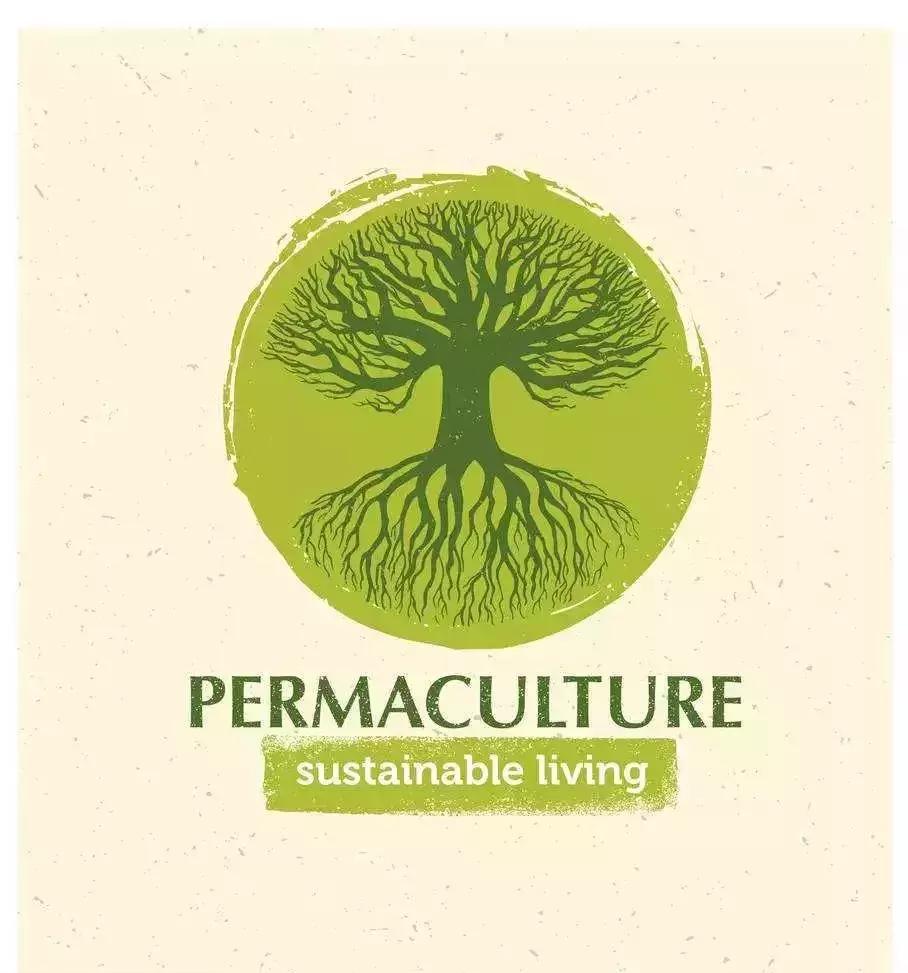 新雨自然学校·第一期Day1:快来建造属于自己的生态花园吧!