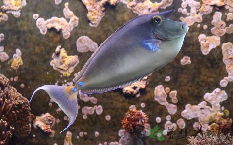 秋季该怎么保养皮肤,这个秋天如何保养皮肤