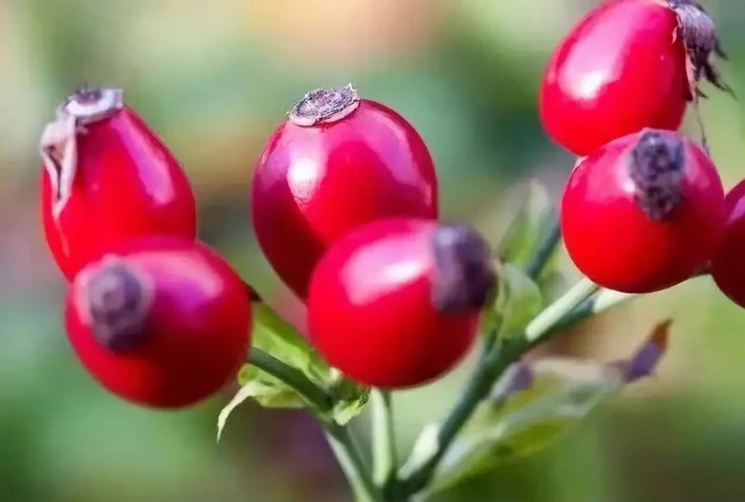 澳洲美白丸效果怎么样,澳洲美白丸28天测评真实