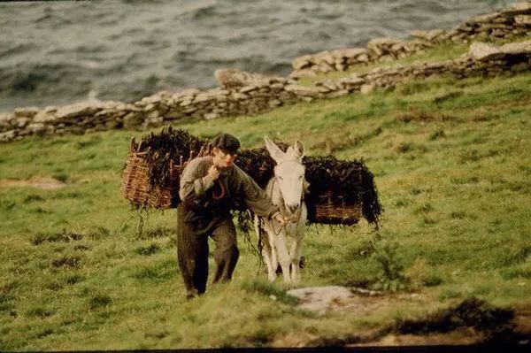 最是天凉好读书，24本精彩好书一并奉上！