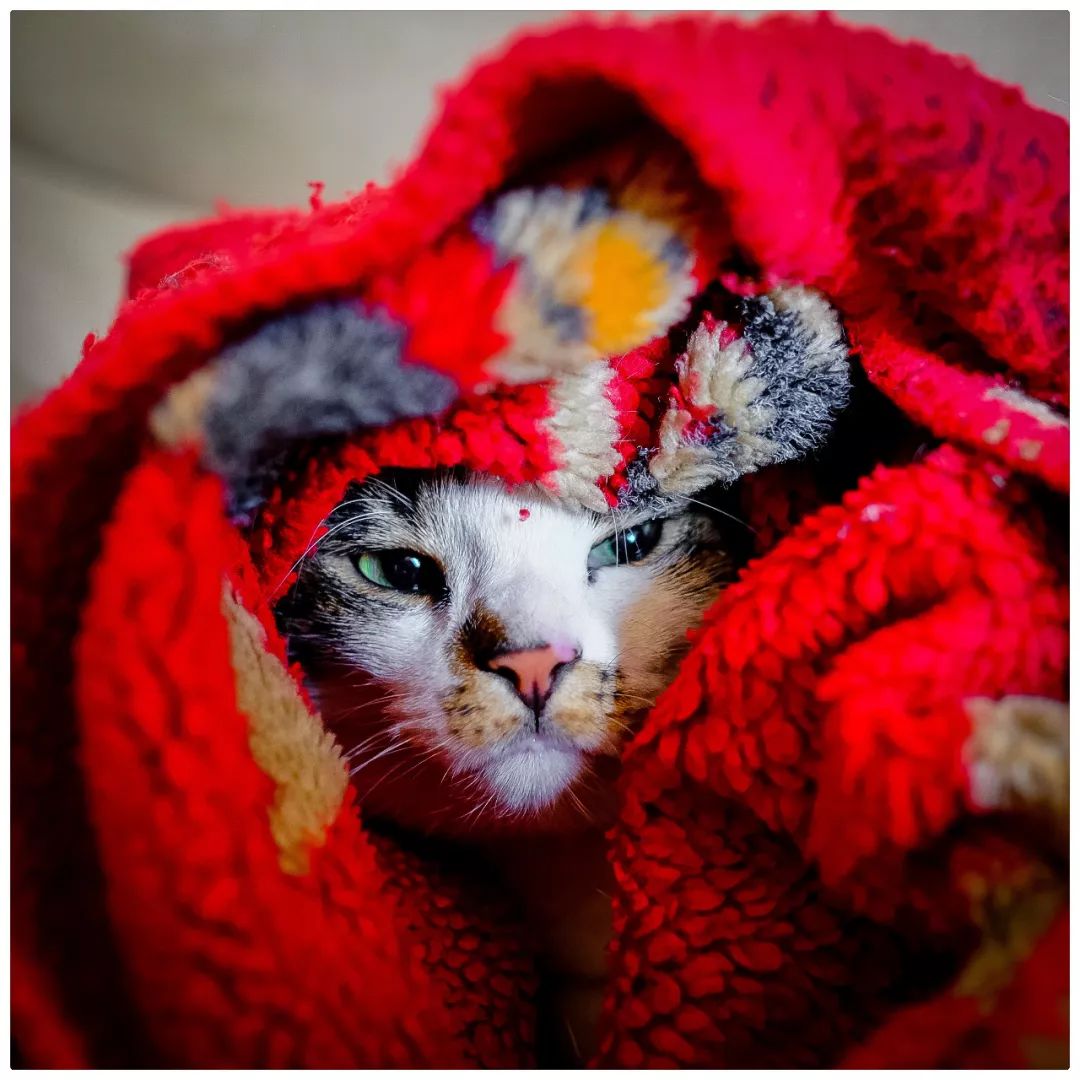 如何快速熟悉陌生领域,如何快速了解一个新领域