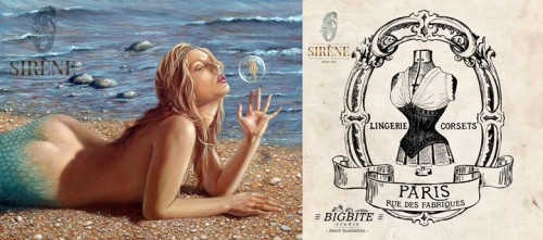 希海纳加拿大内衣品牌！即将正式入驻中国！你会买吗！