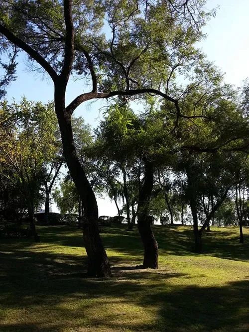 江北“凉亭小厂”，出了颗闻名全国的“中国芯”