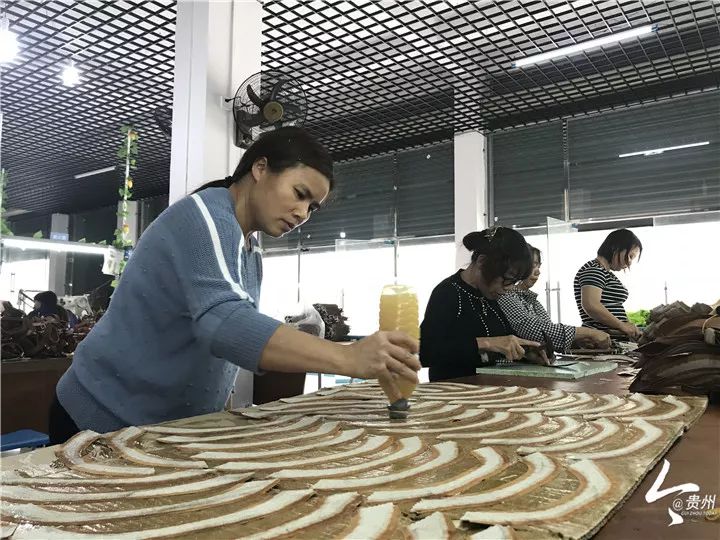 玉屏,为什么能赢?