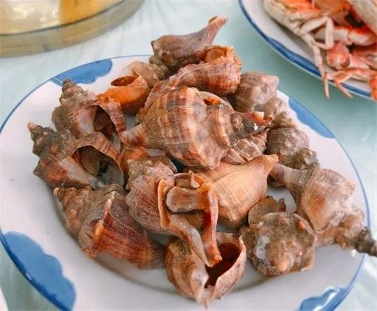 吃遍大连丨再上两天班就放假啦，去金普浪前一定记得看这个，找食方便！