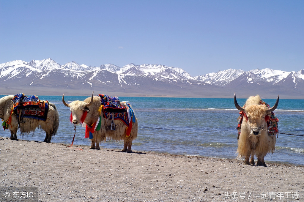 川藏9天旅游攻略,藏西秘境深度游