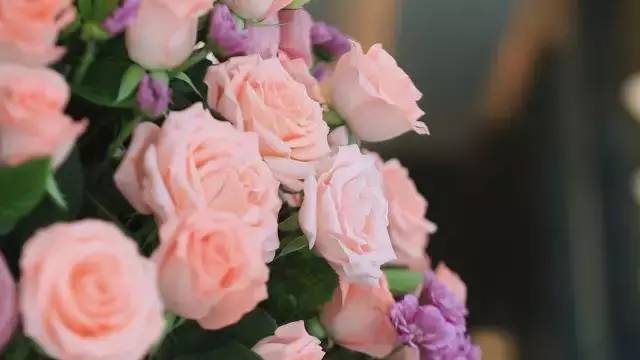 上海朗廷酒店住宿攻略,最佳东方海口朗廷酒店